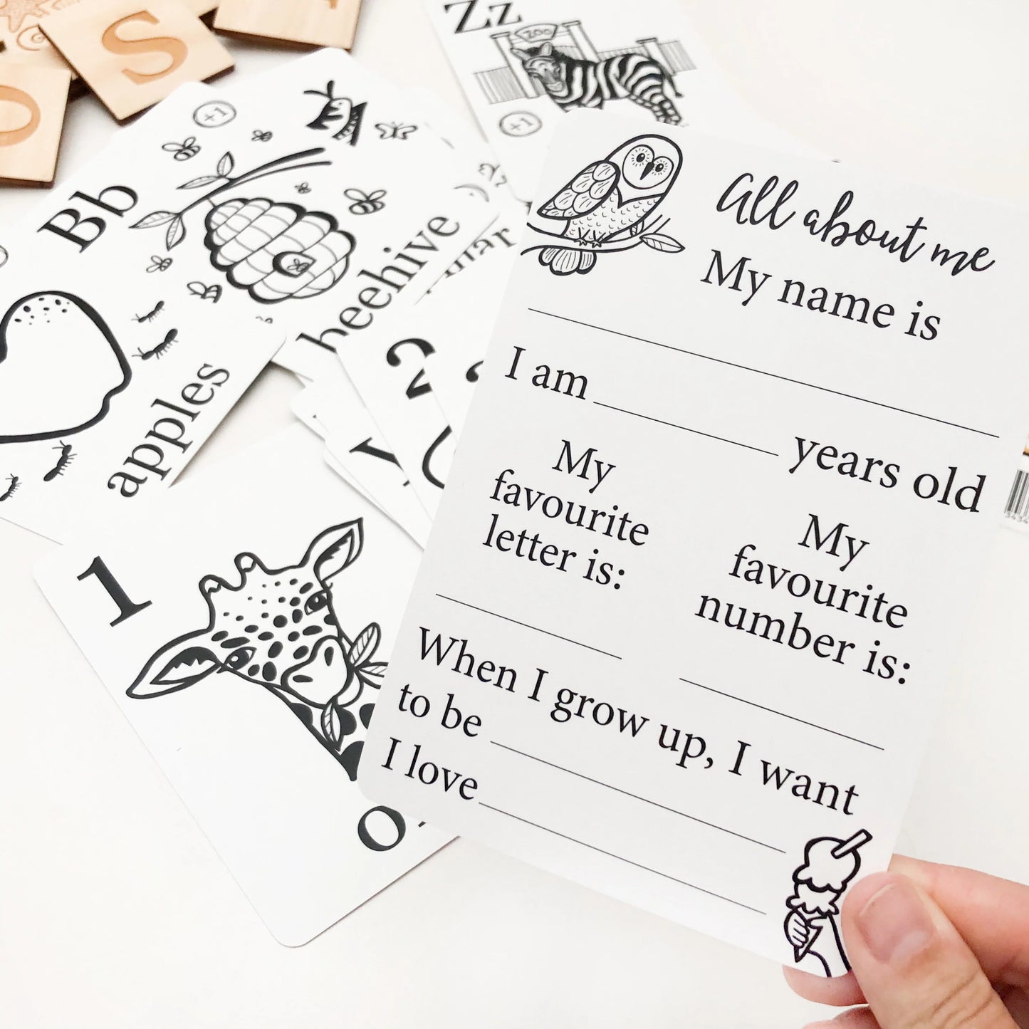 Alphabet and Number Flash Cards